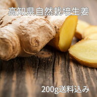 農薬ゼロ 肥料ゼロ 自然栽培のショウガ【 200g 】高知県産〜ホンモノのショウガ 力が違う 農薬不使用 肥…