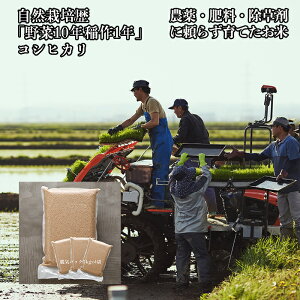 �ߘa7�N ��ʌ��Y �R�V�q�J�� �Ǖi 20kg�y���āz��N�ۑ� �E�C�t���b�V���p�b�N�i@5kg×4�܁j�z�ނ����̂��� -���R�͔|��1�N �������� ���T�V