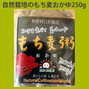 R͔|u  y250gz퉷 ł ǂł ̂܂ Hׂ ۑH ЊQ ~  Lv BBQ AEghA gg  