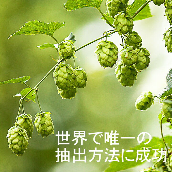 楽天市場】奇跡のホップ 有機 CBDオイル Kriya Hops「Mental oil 