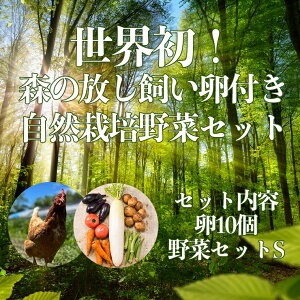 E X̕t R͔|  ZbgS TCY 10 + ؃Zbg@ i1l炵1Tԑʑzj@ց@@o[W