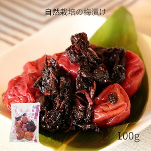 R͔|̂Еu~Ђvy100gz`Ȃ犮n̂܂ 3980~ȏ㑗 _ 엿 