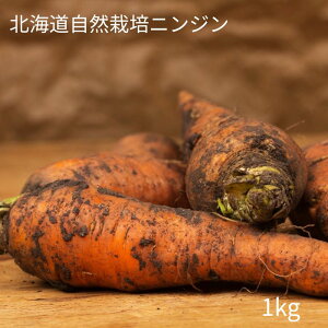 _ ɂ񂶂 kCY R͔|jWy 1kg z_0[ 엿0[ R_@iɓ_j_엿؎g킸ɈՂňĂ܂ 퉷