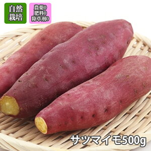 _ R͔|u Tc}C vy 500g z`F{EʌY@퉷@ʌY@3980~ȏ㑗 엿  