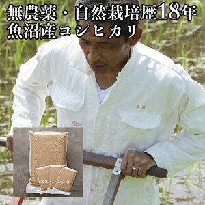 yV \ Γc Y RVqJ  20kgz~ ߘa7N Y R_@ Ђ _ ꓙ ꓙ V Y  ECtbVpbN (@5kg×4)