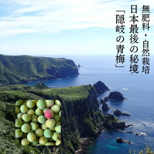 ���{�Ō�̔鋫�u�B�򏔓��v�Y�n�w��~ �~ 5kg ���R�͔| ���_�� ���엿 �������� �_��s�g�p �̂ꂽ�ăt���b�V�� �i�킨�܂��� ��Ԑl�C�̒�ԃ^�C�v �~�� �~���� �~�| �I�[�K�j�b�N �N�[