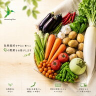 全品無農薬 自然栽培 メインの 野菜セット Lサイズ 「 旬の野菜セット 」 毎週（火木金）出荷 無農薬 野…
