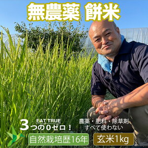 _  R͔| _  ߘa 6NYu  v 茧Y ݂₱ 1kg y  z R_ 엿  R͔| ݕ