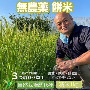 _  R͔| _  ߘa 6NYu  v 茧Y ݂₱ 1kg y  z R_ 엿  R͔| ݕ