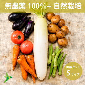 【スーパーSALE 30%OFF】全品無農薬だけの野菜セット Sサイズ 「 旬の野菜セット 」 自然栽培メイン 毎週（火木金）出荷