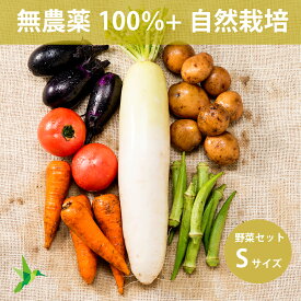 全品無農薬だけの野菜セット Sサイズ 「 旬の野菜セット 」 自然栽培メイン 毎週（火木金）出荷