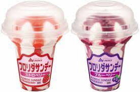 赤城 フロリダサンデー　ストロベリー・ブルーベリー2種アソート 210ml×各種6個 アイスクリーム 氷菓