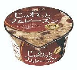 アイス メイトー アイス じゅわっとラムレーズン 120ml×24個お中元 差し入れ 父の日ギフト 誕生日 パーティー 年末年始 クリスマス 氷菓 プレゼント デザート