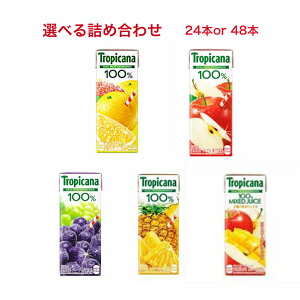 Ε NX}X LgsJ[i100W[X IׂZbgy24{ 4×6{z y48{ 8×6{z 250mlpbN ݑΖp Ε N   lߍ킹 W[X