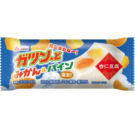 お中元 アイス 赤城 ガツン、とみかん＆パイン 杏仁豆腐 90ml×24本 氷菓 アイス 新商品 期間限定 差し入れ　熱中症対策