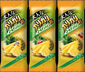 アイス お中元 赤城 大人なガリガリ君 ゴールデンパイン 100ml×24本 差し入れ 熱中症対策 プレゼント