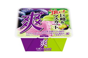 ACX be u@􁕃}XJbg185ml×18  lC a p[eB[ v[g fU[g Vi  MǑ΍ h 