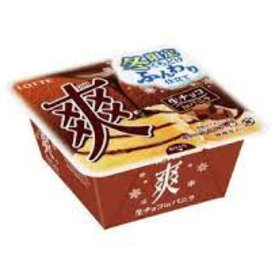 ロッテ 爽 生チョコINバニラ 185ml×18個 アイスクリーム 氷菓