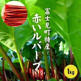 【予約販売】赤い ルバーブ 生ルバーヴ 1kg 農薬不使用 冷蔵 長野県 八ヶ岳 富士見町産 ルバーブ【送料無料】