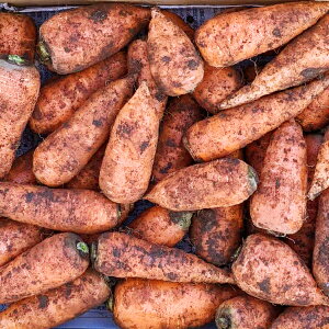  lQ 3kg _ xY _Ew엿sgp ɂ񂶂  R kms 쒬 DORO FARM l ԗ Mtg j 2025-2026 ނ̂₳