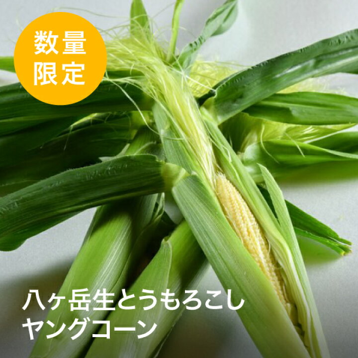 楽天市場 今季最後の便予約受付中 激レア 八ヶ岳生とうもろこしの皮付き生ヤングコーン 約2kg 約30本 送料無料 メロンより甘い 国産 八ヶ岳産 ベビーコーン 1箱 キャンプ バーベキュー q 御中元 産地直送 グルメ お取り寄せ 取り寄せ q 8katte 楽天市場店 楽天市場 今季最後の便予約受付中 激レア 八ヶ岳生とうもろこしの皮付き生ヤングコーン 約2kg 約30本 送料無料 メロンより甘い 国産 八ヶ岳産 ベビーコーン 1箱 キャンプ バーベキュー q 御中元 産地直送 グルメ お取り寄せ 取り寄せ q 8katte 楽天市場店