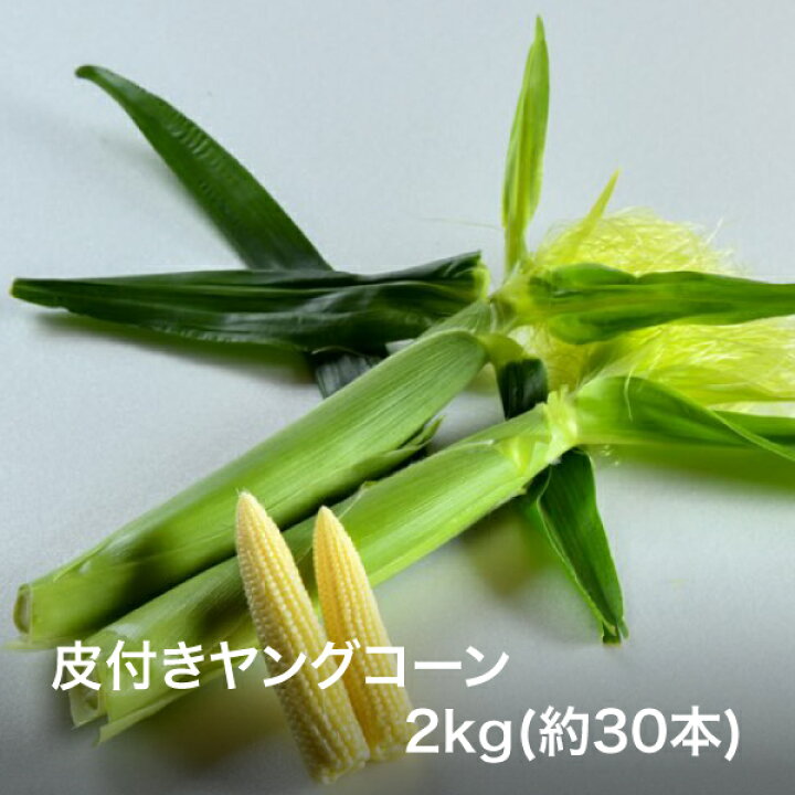 楽天市場 今季最後の便予約受付中 激レア 八ヶ岳生とうもろこしの皮付き生ヤングコーン 約2kg 約30本 送料無料 メロンより甘い 国産 八ヶ岳産 ベビーコーン 1箱 キャンプ バーベキュー q 御中元 産地直送 グルメ お取り寄せ 取り寄せ q 8katte 楽天市場店 楽天市場 今季最後の便予約受付中 激レア 八ヶ岳生とうもろこしの皮付き生ヤングコーン 約2kg 約30本 送料無料 メロンより甘い 国産 八ヶ岳産 ベビーコーン 1箱 キャンプ バーベキュー q 御中元 産地直送 グルメ お取り寄せ 取り寄せ q 8katte 楽天市場店