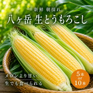 【早割中】とうもろこし 甘い 生で食べられる 糖度20度 長野県 八ヶ岳 生とうもろこし 朝採れ 5本 10本 1…
