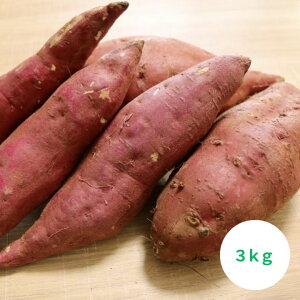 y11/21o׊Jnzx̌If  sɏoȂ̊Â܂ 4 3kg 2025yEYEB_zÂݔZTc}C g͂邩^g܁^[^p[vXC[g