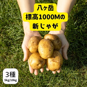 y|Cg5{ 9/4 20`zx̌If W1000m ÔZ VႪ 5kg/10kg 2025yEYEB_zÂݔZႪ3Zbg L^AJ^[NC^AfXbh 