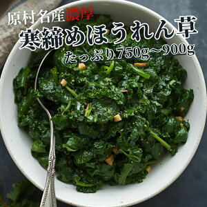 yx8xȏIZIÁI䥂ł炸I z ̌ ߂݂ق 2025 ① 쌧 Yyzق񑐍Dɂ͂܂ȂRNƊÂ V`[ 