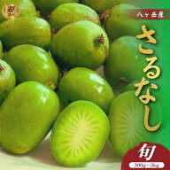 八ヶ岳の厳選素材！【予約受付中】農薬化学肥料不使用 さるなし 超希少な森の恵み 諏訪のサルナシ 2026（…