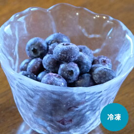 極選素材！農薬不使用 長野県富士見町産 【冷凍】ブルーベリー 500g 2025年産 国産 冷凍ベリー フルーツ 家庭用 業務用 調理用【送料無料】
