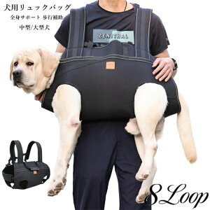 p @\bNobO n[lX xXgn[lX hCuxXgn[lX ybgp pi  V ` p gC̕⏕ nr Q T|[g [h U p