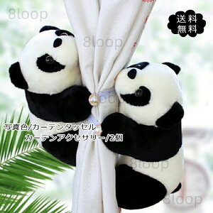 J[e^bZ J[eANZT[ 2 p_ ʂݕ J[e  lC  ANZT[ G 