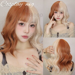  fB[X h EBbO V[g EFႢ {u  ςO Jc RXv Z~O C    ECbOlbgt Cxg RXvp nEB