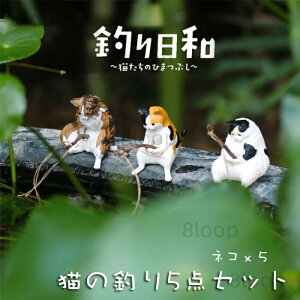 Lނ̑i L̒̑ Lނu  _Co[ L̒ނ5_Zbg ނa L̂Ђ܂Ԃ L̂ i u  탂f 킢  ʔ q