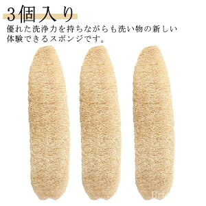 VRw`} @\ w`}X|W w`}킵 3 HuV M H Lb`pi Ȃ yzꂪ