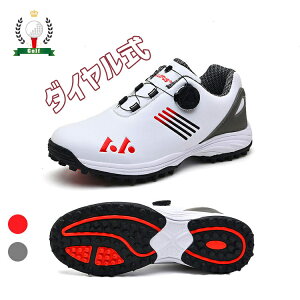 StV[Y Y  _C Xj[J[ 傫TCY 28.5cm 4E L tBbg XpCNX y h ϋv Kp ₷ rWlX^p v[g a ̓ ސEj