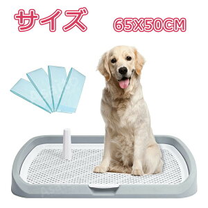 ^gC pgC gC  EH[   |[ ybggCC[ Ch }[LO|[tgC g[ t`t g[jO  ^ bV 