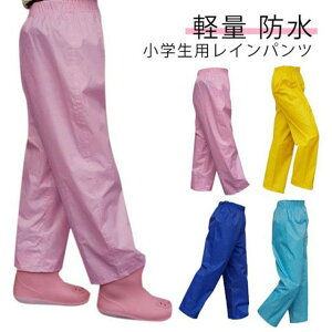 yz Y{Jo[ Lv q LbY ͂ Cpc WjA Cpc J悯 ͂ J EGXgS Y{ ̎q j̎q qǂ  ؍q V n 