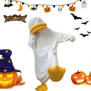 Aq  lp pW} ʂ RXv RX`[ Aq tl AqRX`[ jZbNX 