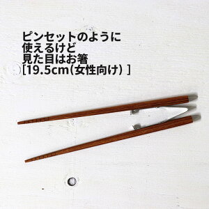 [2]y [  z yX sZbg^Cv ׂ~ 1-2   sZbg  a@   IV  ֗ Vo[ silver uE brown F Vv  g