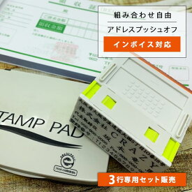 【3行注文専用　2900円】【進化したアドレス印 アドレスプッシュオフ】 親子印　組み合わせゴム印　会社住所印 個人住所印 セパレートタイプの親子印　社判　封筒やはがき、領収書に便利〕 他店と合わせることも可能（※印面高さが合わないこともあります） インボイス