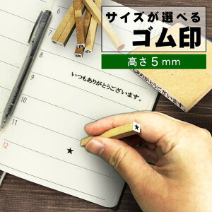 1sS@5mm@c̏ꍇ5mm̃SłI