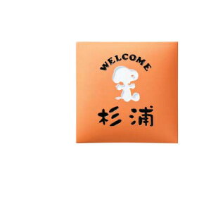 SNOOPY HOME SIGN \D ^C SPAR|4-4