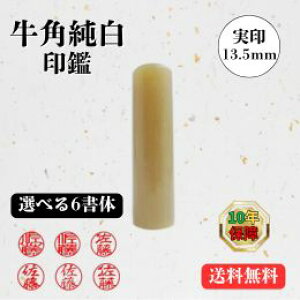 p() 13.5~yz(  p ͂ s yV ʔ)