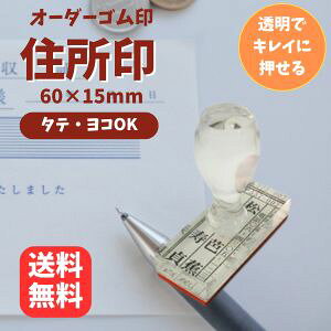 ANZ S X^v 60mm×c15mmbДElZEЖEvt I[_[ChZX^v Eɕ֗