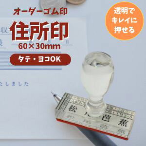 ANZ S X^v 60mm×c30mmbДElZEЖEvt I[_[ChZX^v Eɕ֗