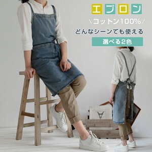 Gv fj  [NGv fjn fB[X ꖺ eqGv jp GvhX ƃGv k Rbg100 JtF ԉ eqR[