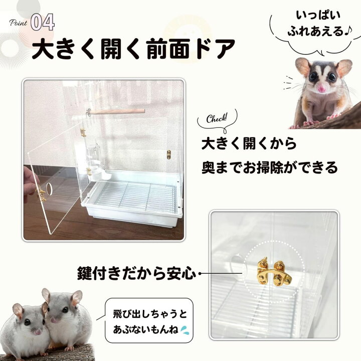 楽天市場】MINORITY DESIGN フクロモモンガ 360度見渡せるアクリル 